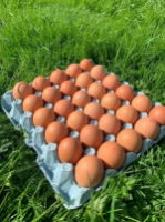 Old Dairy - Large Eggs Half Catering Case (180 eggs/case)