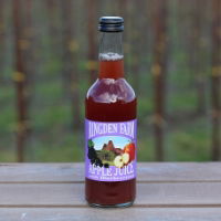 Ringden Farm - Small Apple & Blackcurrant (24 x 330ml)